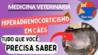 Hiperadrenocorticismo Canino  Fisiopatologia Sinais Clínicos e Diagnóstico [upl. by Lamak]