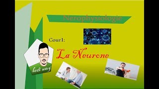 02 Tissu Nerveux la neurone  Neurophysiologie Bac Tunisie [upl. by Arolf]