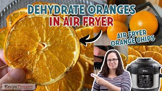 How to Dehydrate with Beautiful Air Fryer Dehydrator [upl. by Oeniri]