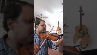 Stentor 1515A Electro acoustic Violin 44 Product Demo chennaimusicals stentorviolin 1515A [upl. by Sanfred]