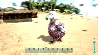 HOW TO GET FROM LVL 1 TO 24 IN 5 MINS EASY Ark Survival Evolved [upl. by Alletniuq358]