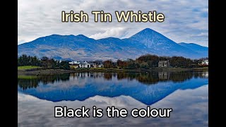 Irish tin  penny whistle Black is the Colour [upl. by Ylrac493]