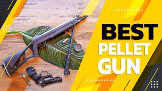 Best Pellet Gun in 2022 – Tested amp Compared by Expert [upl. by Marney960]