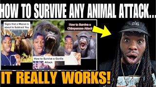 Wildlife Expert Shares Top Animal Attack SURVIVAL Techniques [upl. by Dalis]