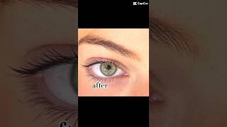 Lash Tint Transition 🤩 youtube shorts ytshorts [upl. by Ardnuhsed]