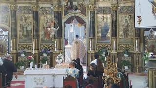 Episcopia GrecoCatolică de Oradea Live Stream [upl. by Enrahs821]