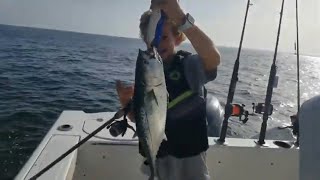 Nearshore Jigging and False Albacore out of Masonboro Inlet  Wrightsville Beach NC [upl. by Hatfield]