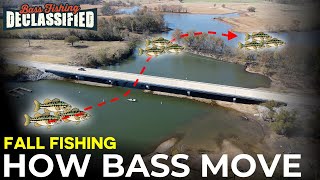 Stay Ahead of Fall Bass With This Simple Approach [upl. by Aihseya647]