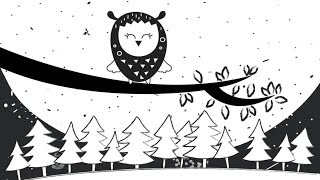 Midnight Owl Adventure  High Contrast Fun baby sensory video  Mozart Classical Music black white [upl. by Leelah]