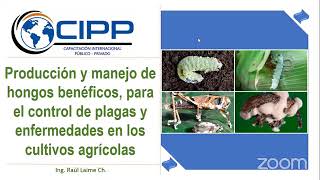 🛑CURSOPRODUCCIÓN Y MANEJO DE HONGOS BENÉFICOS PARA EL CONTROL DE PLAGAS LOS CULTIVOS AGRÍCOLAS [upl. by Nnylyam319]