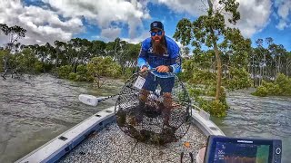 So Many Mud Crabs Caught Using WEIRD BAIT [upl. by Norahs]