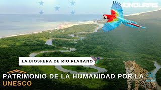 La Biosfera de Río Plátano un paraíso tropical en Honduras [upl. by Nariko]