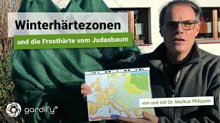 Winterhärtezonen und die Frosthärte vom Judasbaum  gardify Tipps [upl. by Amatruda]