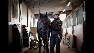 230824 Bergsåker TV Borups Victory inför Open Trot [upl. by Binny]