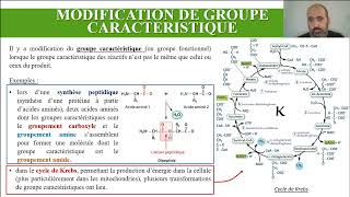 Transformations chimiques [upl. by Risan]