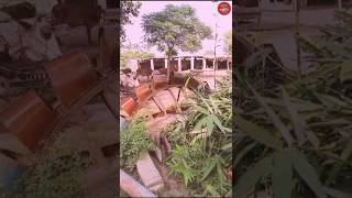 Irrigation System in Punjab Villages Before Early 90 Persian Wheel Irrigation Method ChintoVillog [upl. by Vania839]