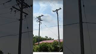 Powerline poles only in PA 33kv and 20kv [upl. by Dailey]