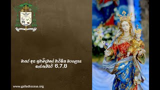 Diocese of Galle Sri Lanka 117th Annual Feast of the National Shrine of Our Lady of Matara [upl. by Ettevroc642]