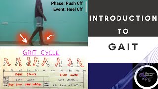 INTRODUCTION TO GAIT BIOMECHANICS Gait BiomechanicsPhysiotherapy Tutorial [upl. by Krahling]