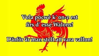 Svensk text  Li Tchant des Walons  Valloniens Regionalsång [upl. by Norrab]