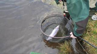 the three amigos at woodburn fishery [upl. by Kcirddahc]