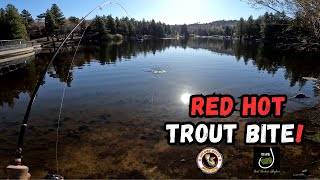 Red Hot Trout Bite at Green Valley Lake [upl. by Auqkinahs170]