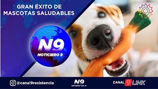 GRAN ÉXITO DE MASCOTAS SALUDABLES [upl. by Raji]