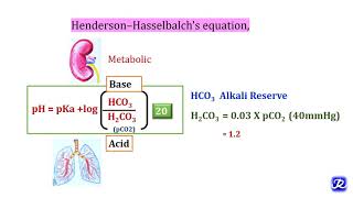 1 Regulation of Blood pH By Buffer SystemsAcid Base Balance Biochemistry [upl. by Eceertal]