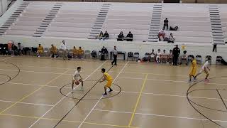 Austin Panthers vs Fabens Wildcats JV Basketball 11292022 El Paso Texas [upl. by Ahseeyt]