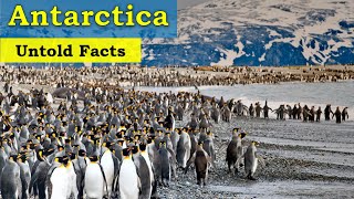 Mystery of Antarctica  Antarctica life  Unsolved Mysteries of Antarctica  Faisal Tv [upl. by Thane331]