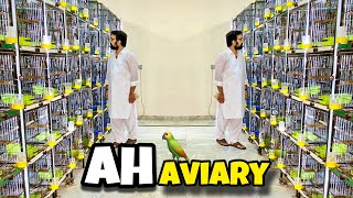 Visit AH Aviary  Birds Breeding Farm  Aqua DunFellow PaleFellow Setup [upl. by Topping526]