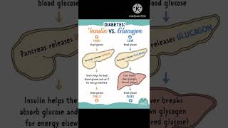 Insulin vs glucagon NursingHubl7q [upl. by Uase]