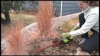 The BEST Way to Prune Ornamental Grasses [upl. by Wehtam]