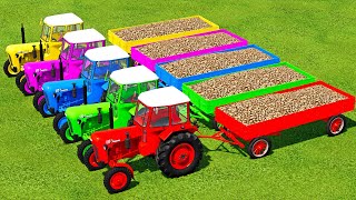 HARVEST SUGAR BEET LOAD amp TRANSPORT WITH FENDT amp URSUS MINI TRACTORS  Farming Simulator 22 [upl. by Billy917]