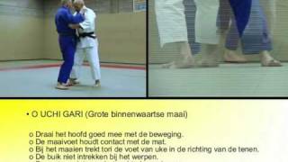 04 Judo in beeld  o uchi gari [upl. by Aeslek]