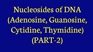 Nucleosides of DNA Adenosine Guanosine Cytidine Thymidine PART2 [upl. by Anitan]