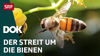 Das Bienendilemma  Zwischen Profit und Artenschutz  DOK  SRF Wissen [upl. by Lowrance997]