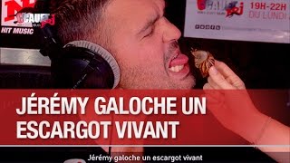 Jérémy galoche un escargot vivant  C’Cauet sur NRJ [upl. by Greenburg]