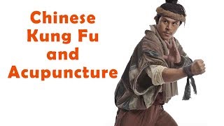 Wu Tang Collection  Chinese Kung Fu and Acupuncture [upl. by Fernandina]