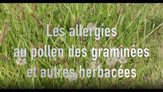 Les allergies au pollen des graminées [upl. by Crofton]