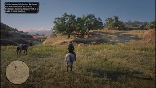 Red Dead Redemption 2  Horseman 10 Mustang location [upl. by Obbard]