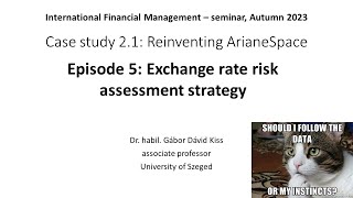 5 Exchange rate risk assessment strategy [upl. by Streeto]