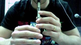 The Pogues  Streams of Whiskey Tin Whistle [upl. by Kata]