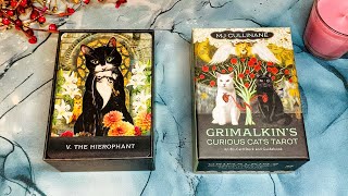 Grimalkin’s Curious Cats Tarot  Таро Любопытных Кошек Грималкин🐈‍⬛😻😹😺🙀 [upl. by Assirec995]