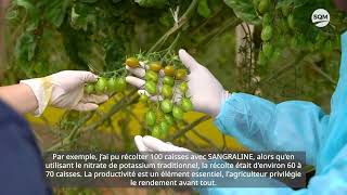 Sangral®ine Testimonial on Tomatoes SQM SCPCSAPEL Atlantis [upl. by Ewan95]