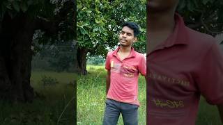 Ye kiya huaa 😂😂😂 ‼️ funny viralvideo shortvideos comedy trending funny video [upl. by Ahilam]