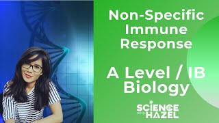 NonSpecific Immune Response  A Level amp IB Biology [upl. by Neehahs]