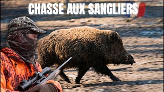 Chasse aux sangliers en Sologne part 2 [upl. by Erikson]