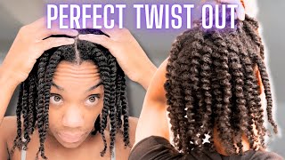 PERFECT TWIST OUT FOR 4C HAIR😍 TRY IT Super Defined Natural Hairstyle Tutorial [upl. by Livy]