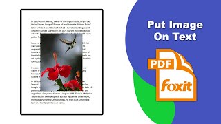 How to Bring an Image Above Text in a PDF Document Edit Image in Foxit PDF Editor [upl. by Ainnat]